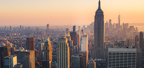 Appellate Litigation